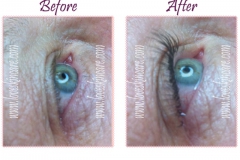 eyelash-extensions_3_l