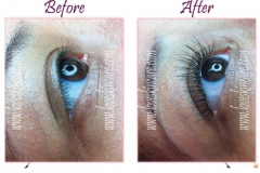 eyelash-extensions_8_l